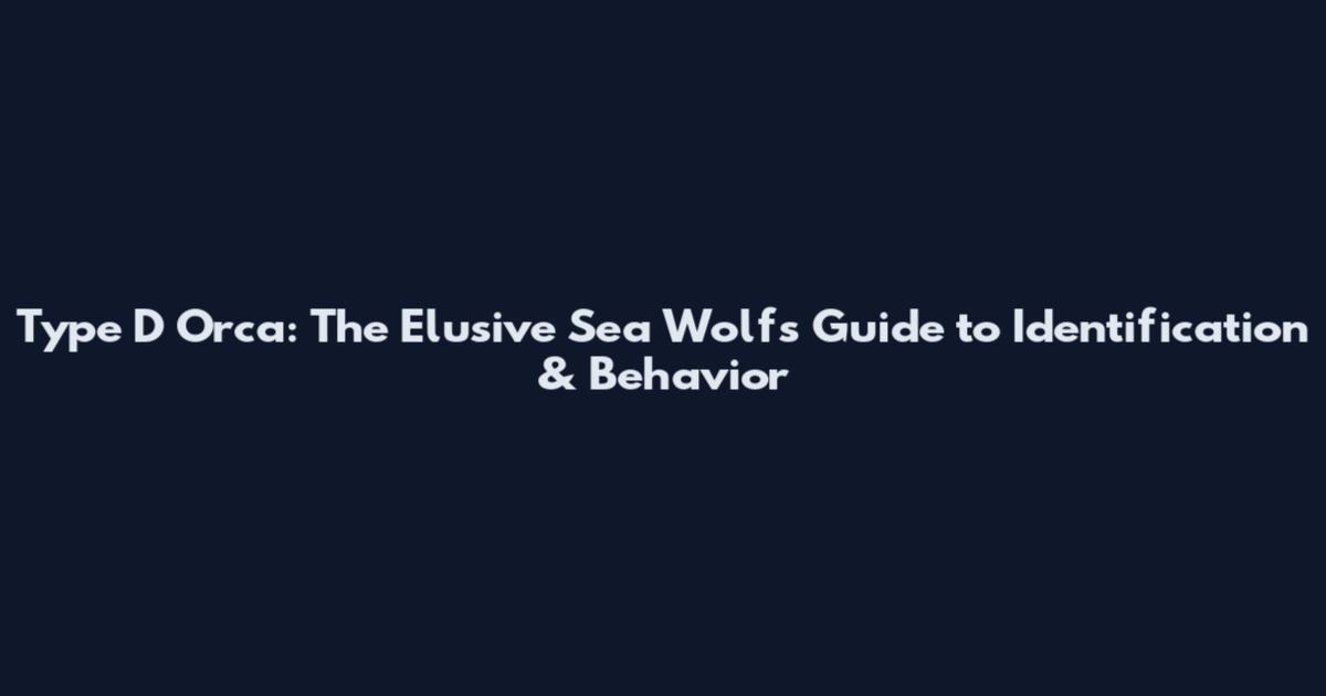 Type D Orca: The Elusive Sea Wolf's Guide to Identification & Behavior