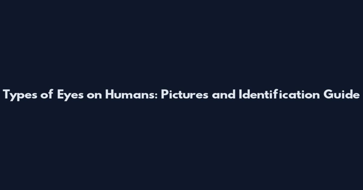 Types of Eyes on Humans: Pictures and Identification Guide