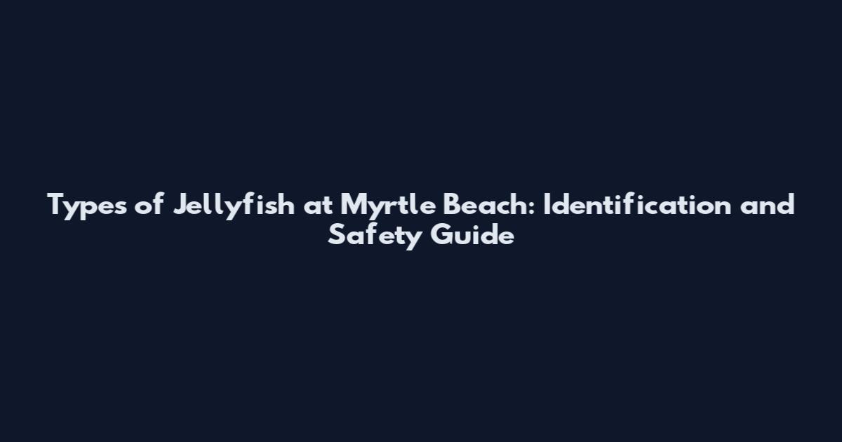 Types of Jellyfish at Myrtle Beach: Identification and Safety Guide