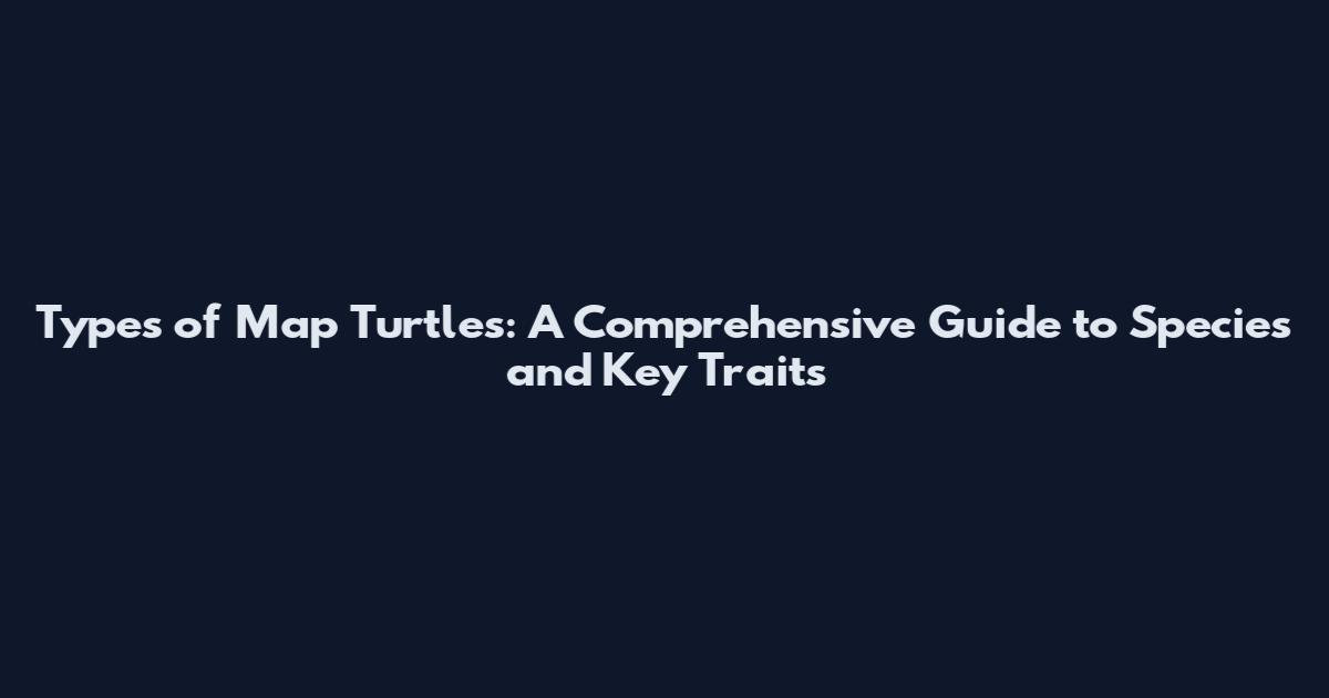Types of Map Turtles: A Comprehensive Guide to Species and Key Traits
