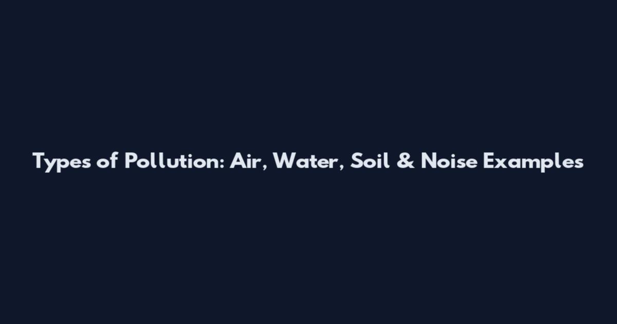 Types of Pollution: Air, Water, Soil & Noise Examples