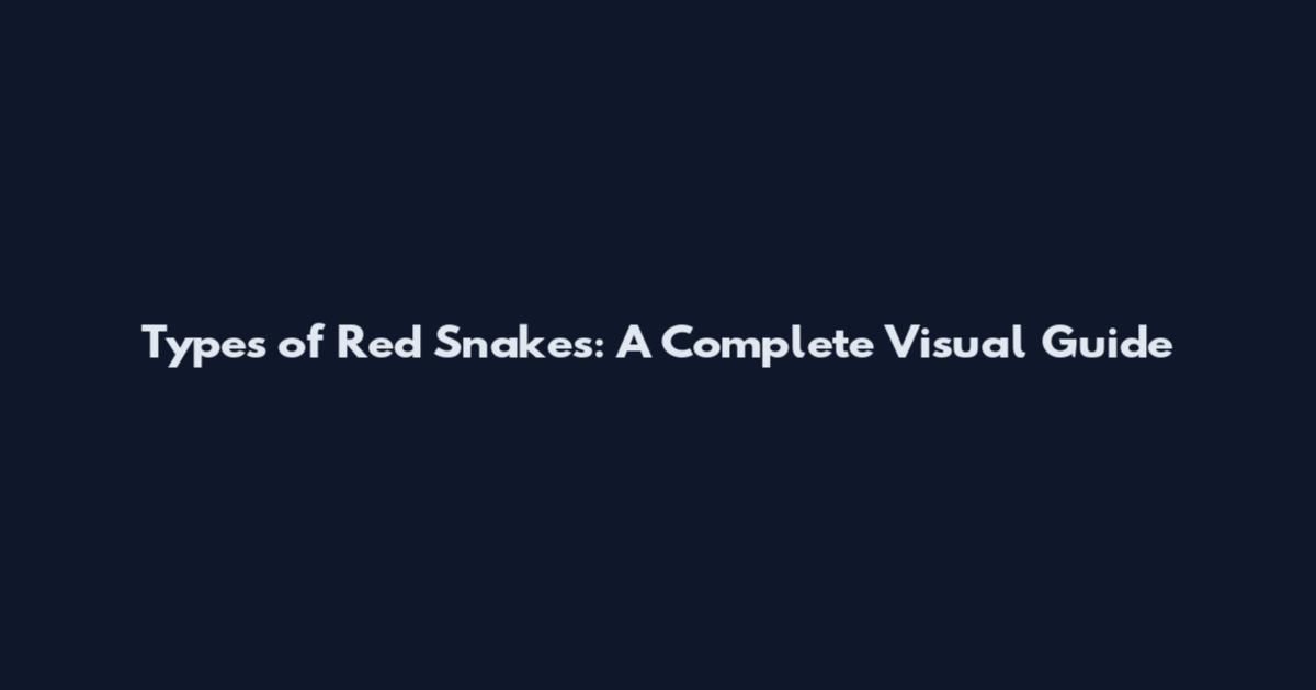 Types of Red Snakes: A Complete Visual Guide