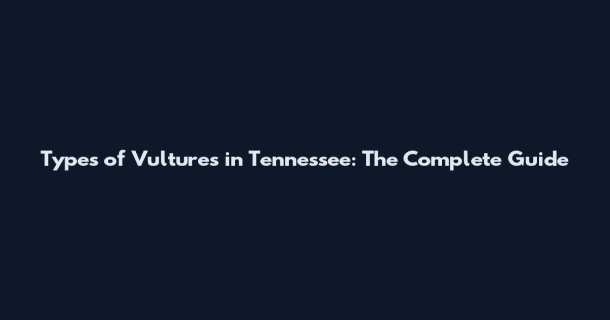 Types of Vultures in Tennessee: The Complete Guide