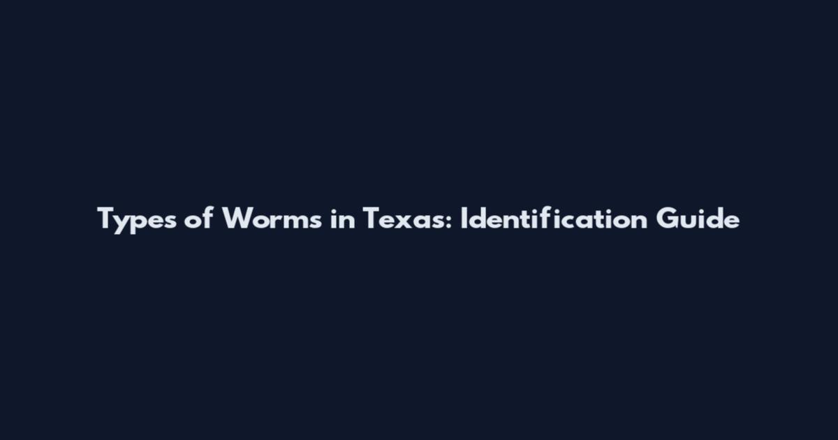 Types of Worms in Texas: Identification Guide