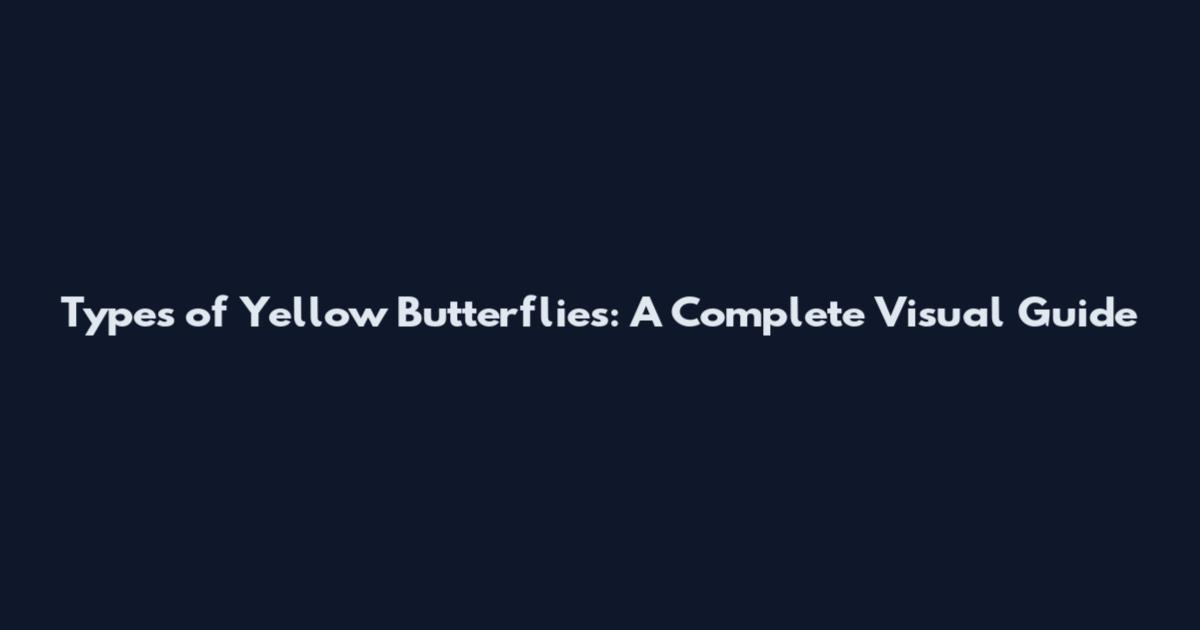 Types of Yellow Butterflies: A Complete Visual Guide