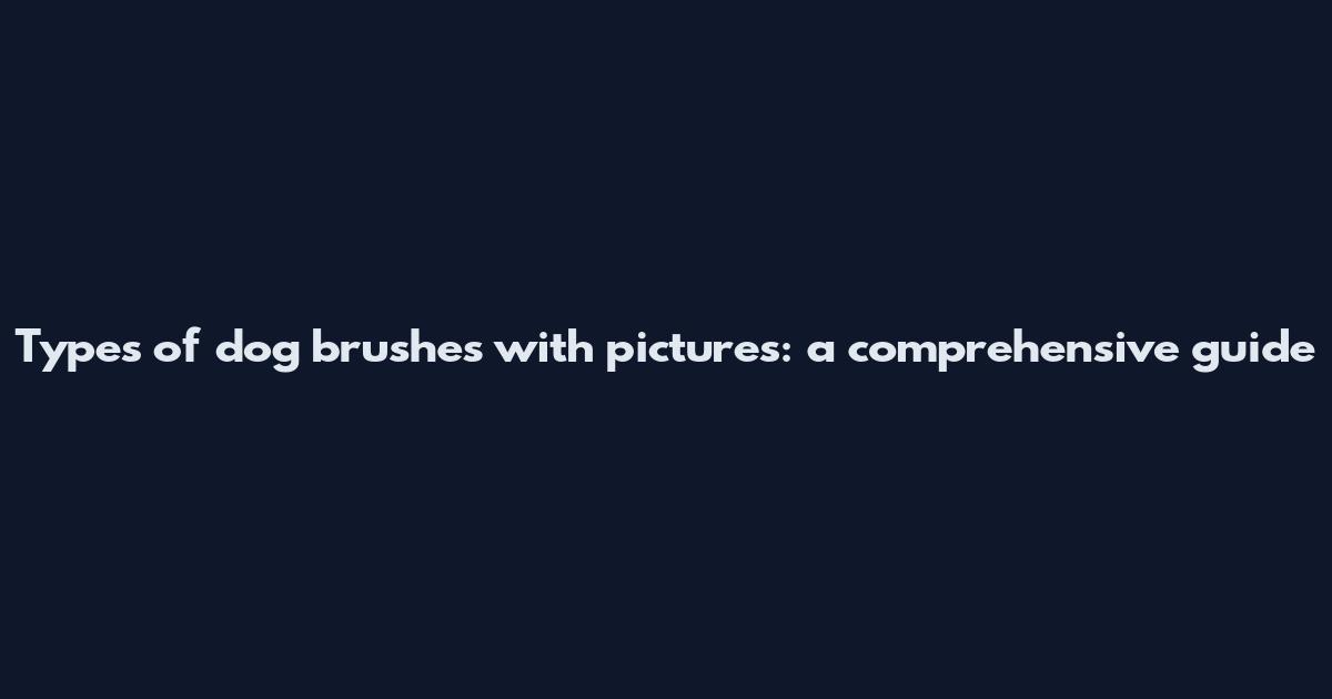 Types of dog brushes with pictures: a comprehensive guide