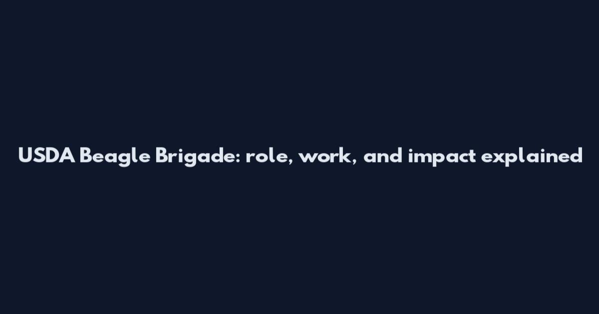 USDA Beagle Brigade: role, work, and impact explained