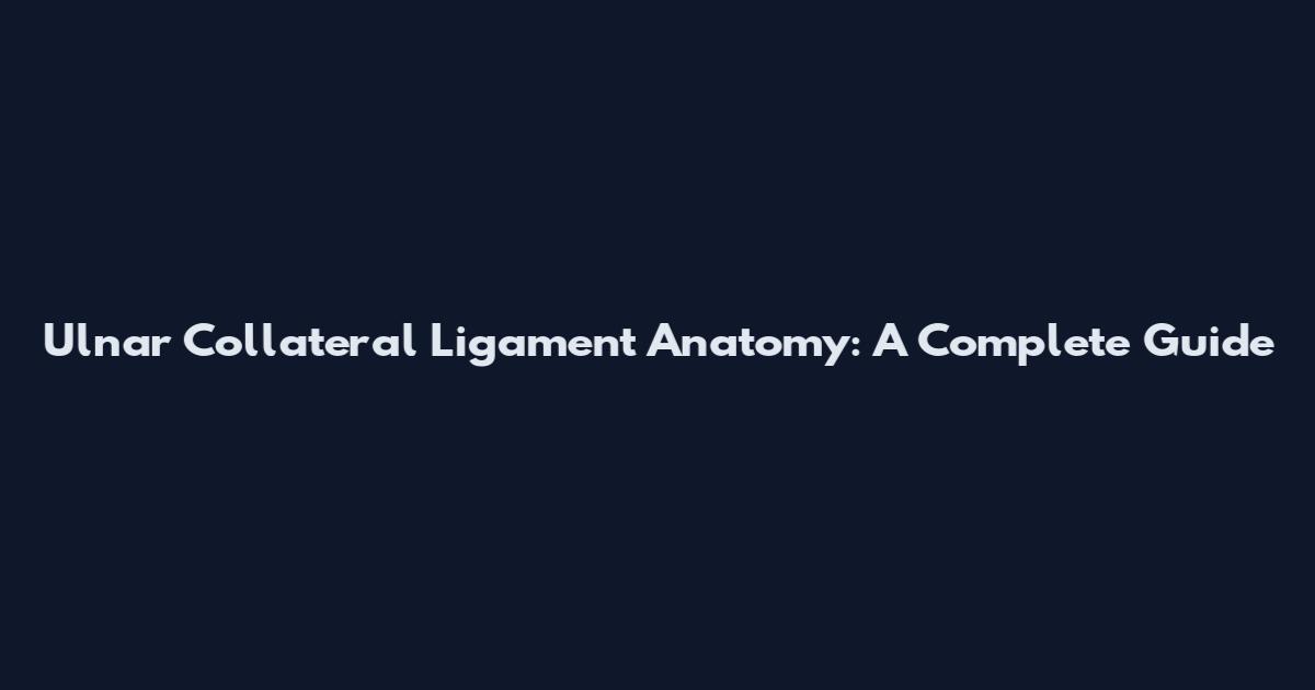 Ulnar Collateral Ligament Anatomy: A Complete Guide