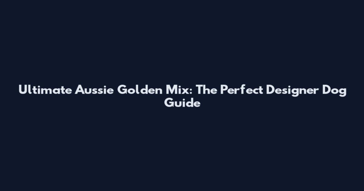 Ultimate Aussie Golden Mix: The Perfect Designer Dog Guide