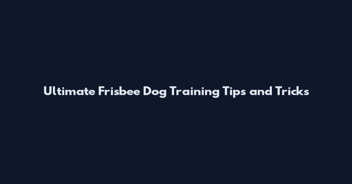 Ultimate Frisbee Dog Training Tips and Tricks