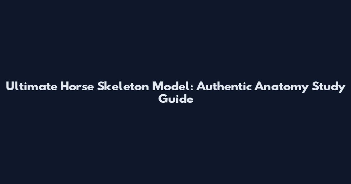 Ultimate Horse Skeleton Model: Authentic Anatomy Study Guide