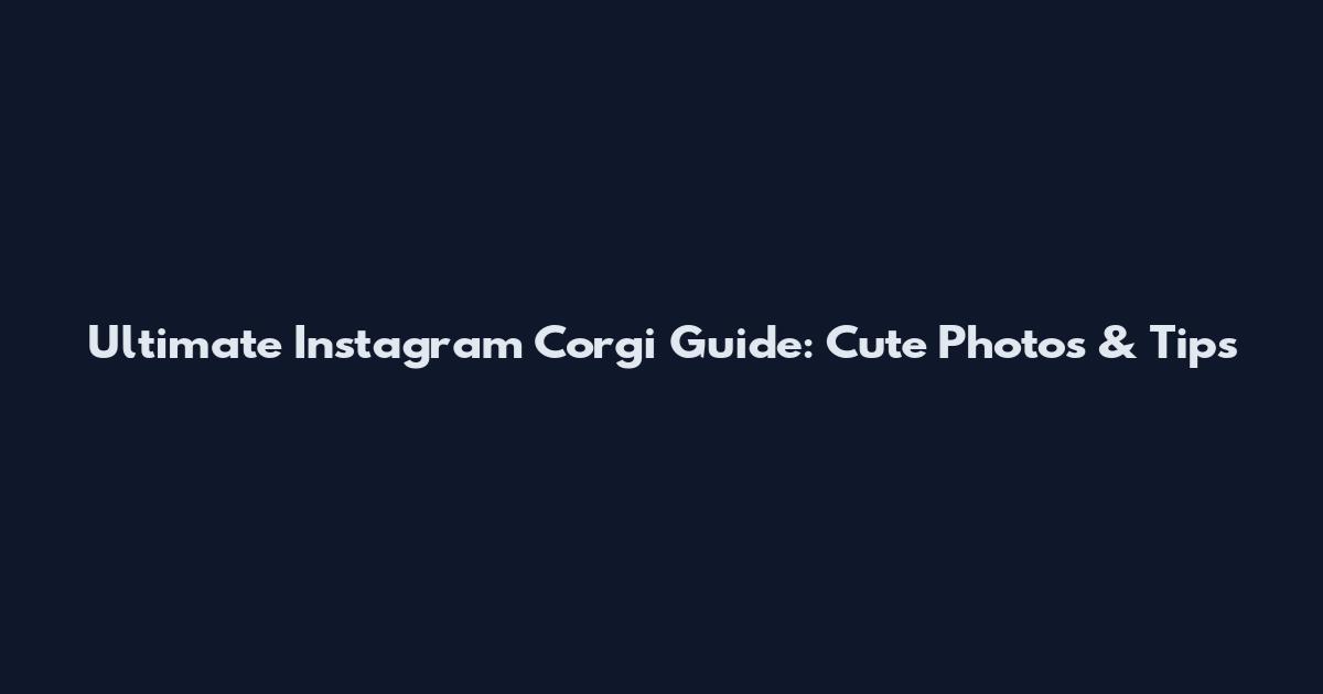 Ultimate Instagram Corgi Guide: Cute Photos & Tips