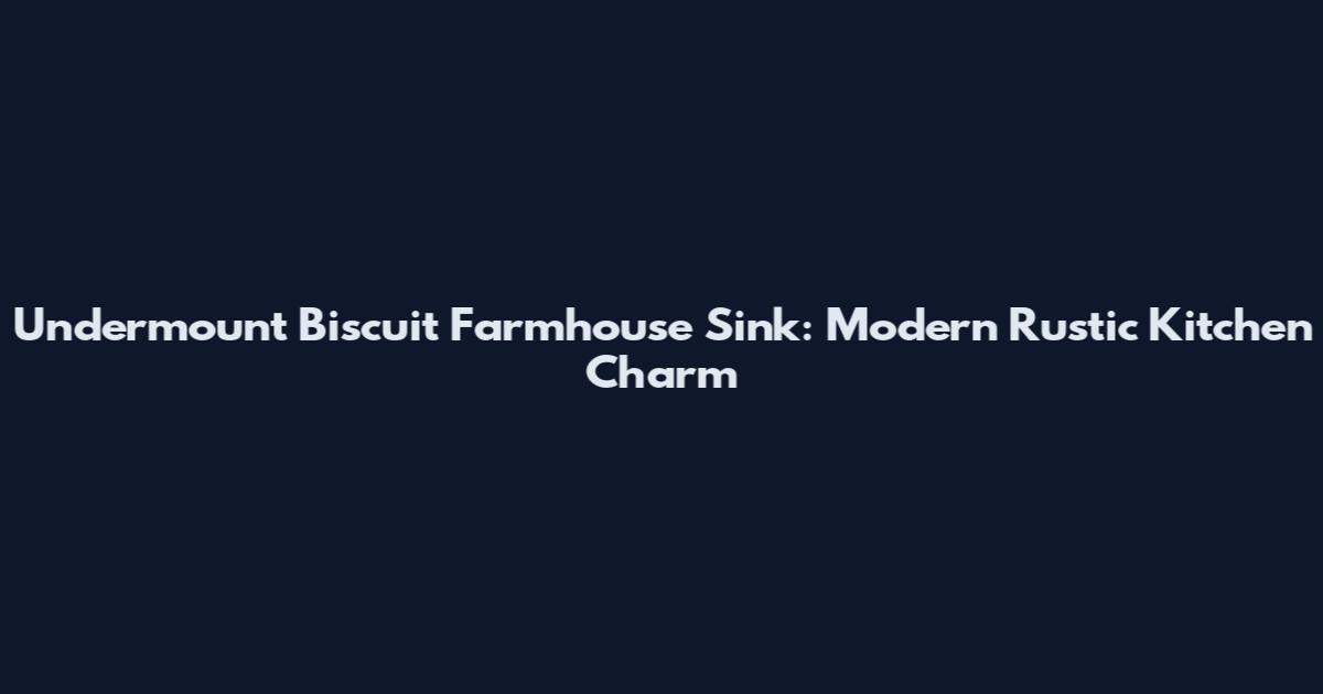 Undermount Biscuit Farmhouse Sink: Modern Rustic Kitchen Charm