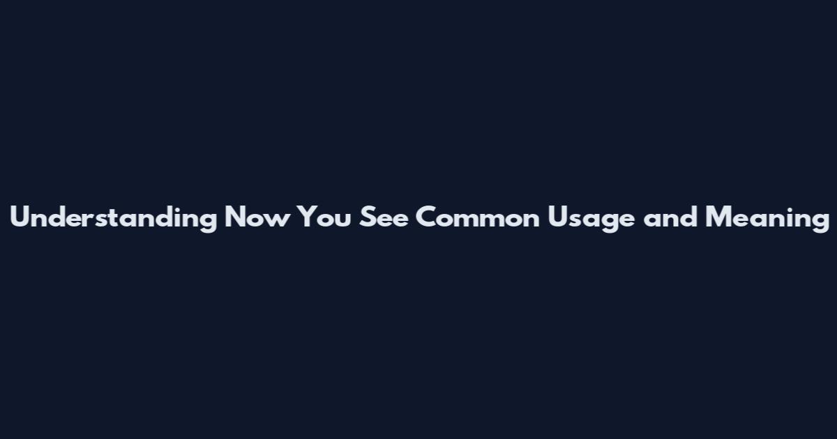 Understanding "Now You See" Common Usage and Meaning