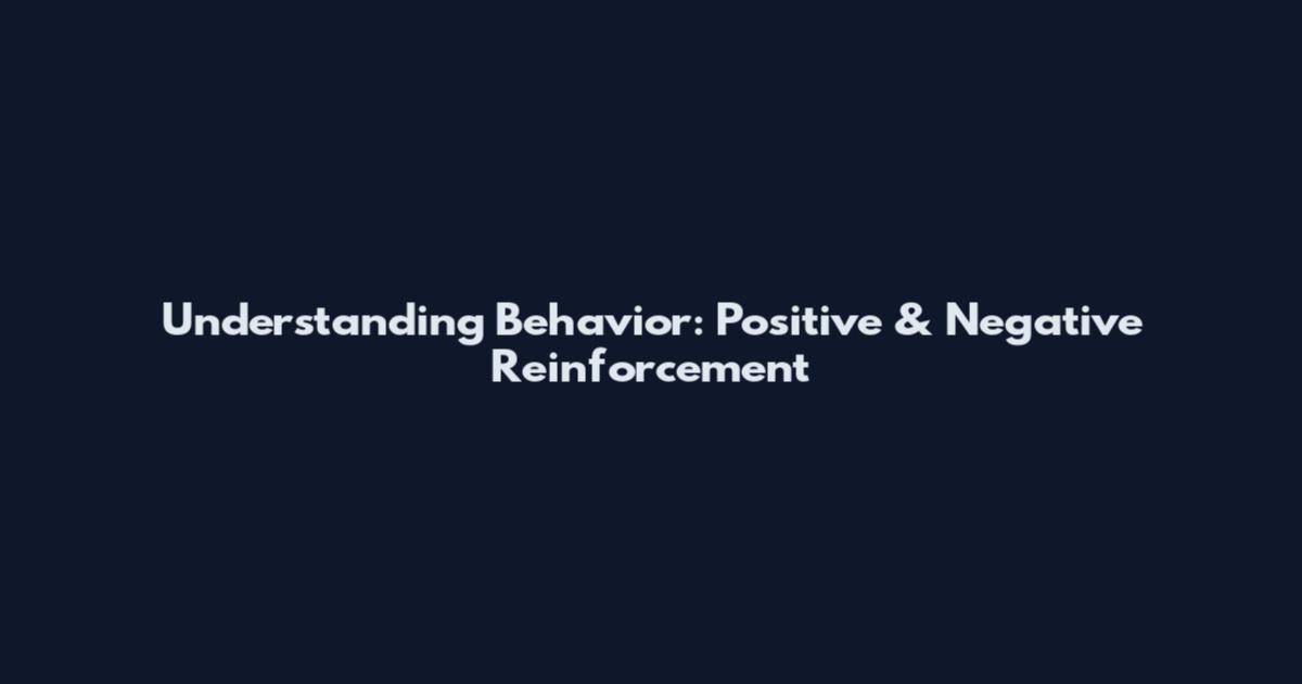 Understanding Behavior: Positive & Negative Reinforcement