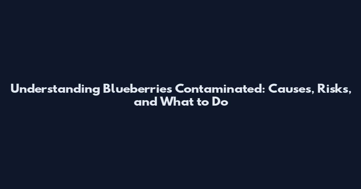 Understanding Blueberries Contaminated: Causes, Risks, and What to Do