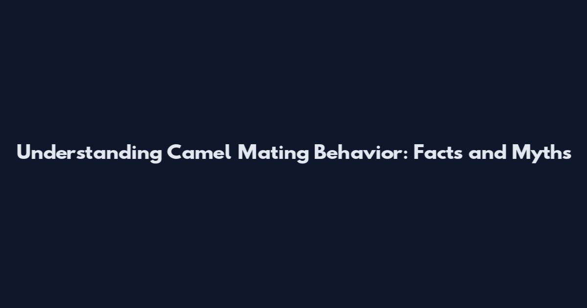Understanding Camel Mating Behavior: Facts and Myths