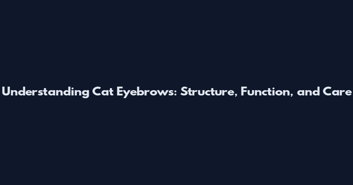 Understanding Cat Eyebrows: Structure, Function, and Care