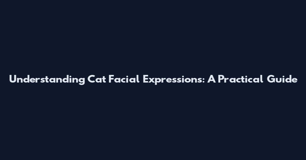 Understanding Cat Facial Expressions: A Practical Guide