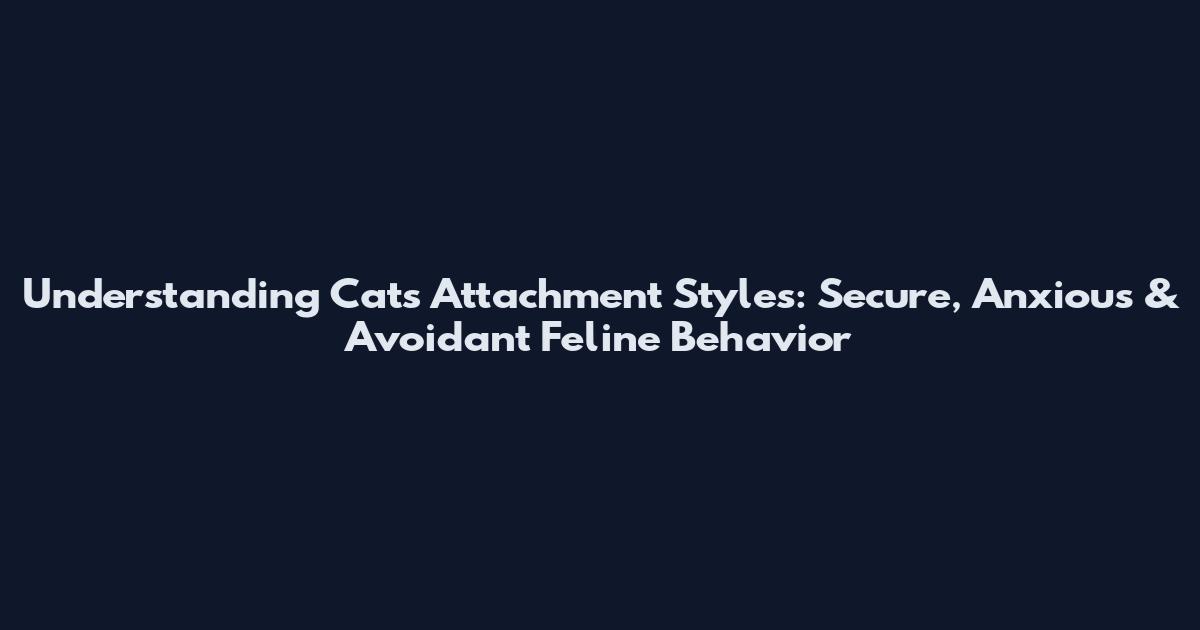 Understanding Cats Attachment Styles: Secure, Anxious & Avoidant Feline Behavior