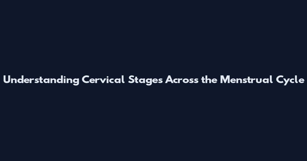Understanding Cervical Stages Across the Menstrual Cycle