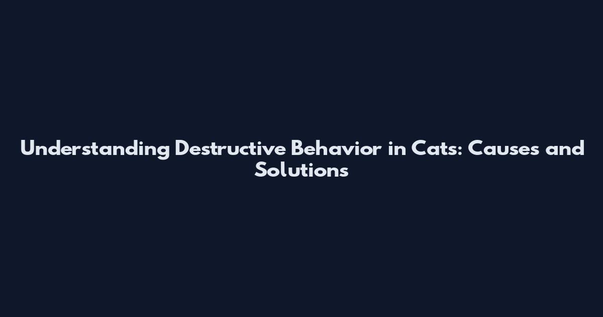 Understanding Destructive Behavior in Cats: Causes and Solutions