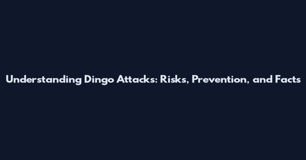 Understanding Dingo Attacks: Risks, Prevention, and Facts