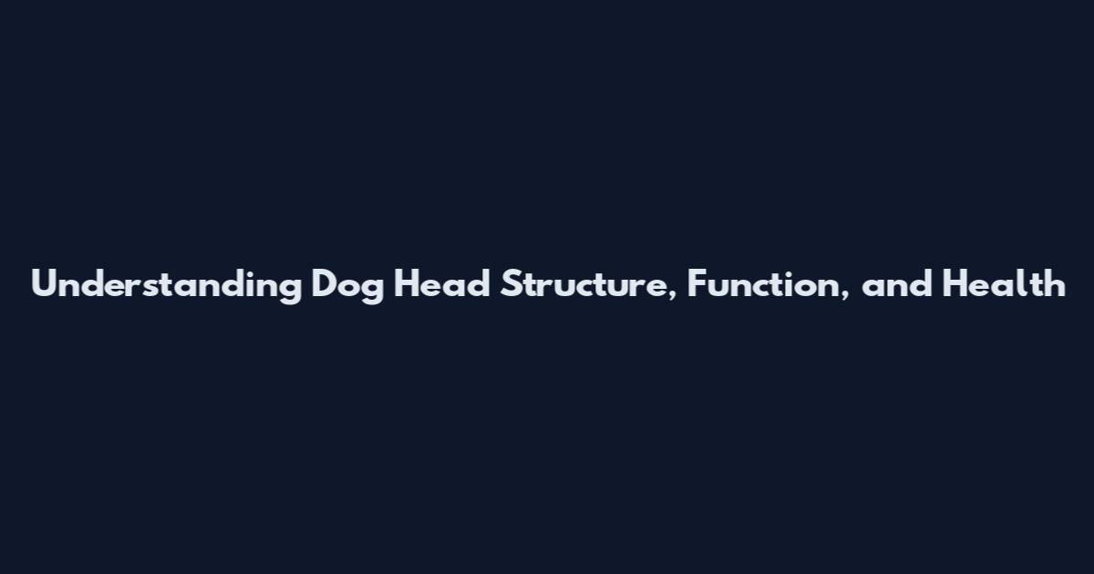 Understanding Dog Head Structure, Function, and Health