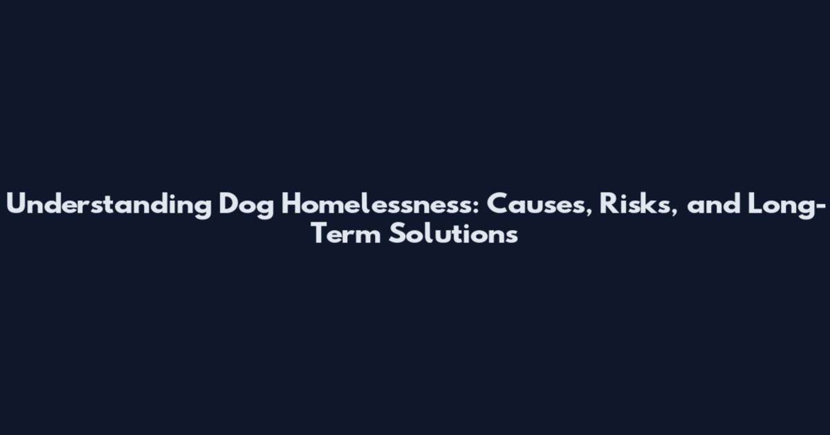 Understanding Dog Homelessness: Causes, Risks, and Long-Term Solutions