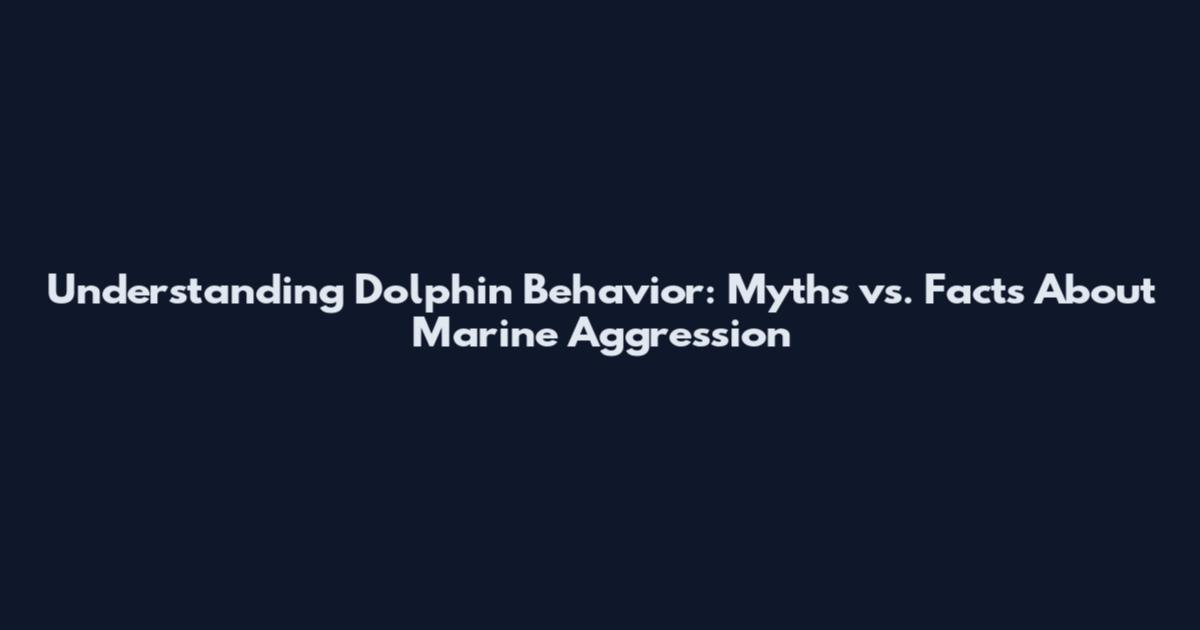 Understanding Dolphin Behavior: Myths vs. Facts About Marine Aggression