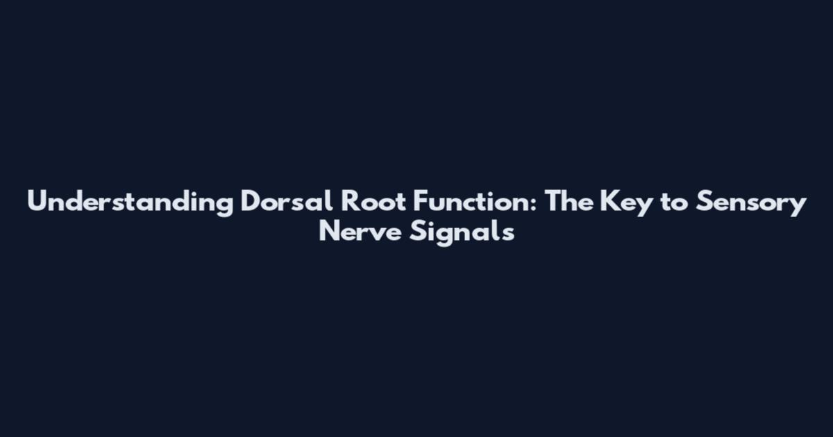 Understanding Dorsal Root Function: The Key to Sensory Nerve Signals