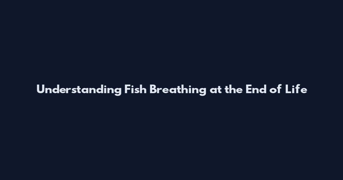 Understanding Fish Breathing at the End of Life