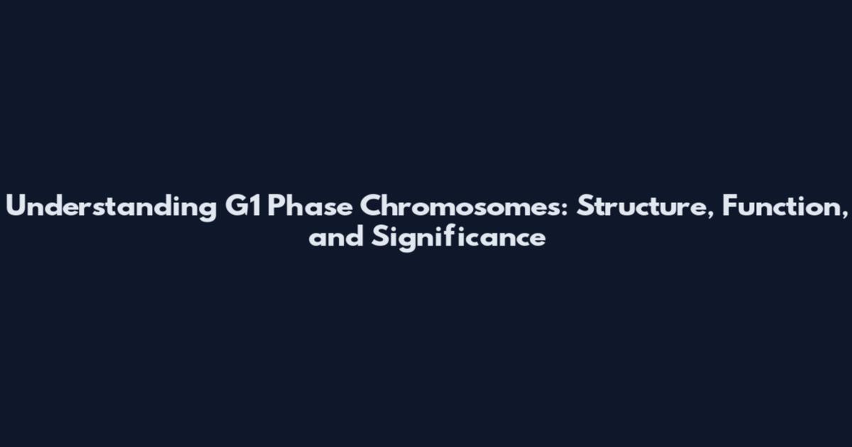 Understanding G1 Phase Chromosomes: Structure, Function, and Significance