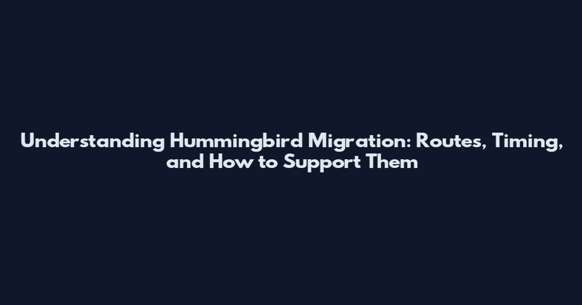 Understanding Hummingbird Migration: Routes, Timing, and How to Support Them