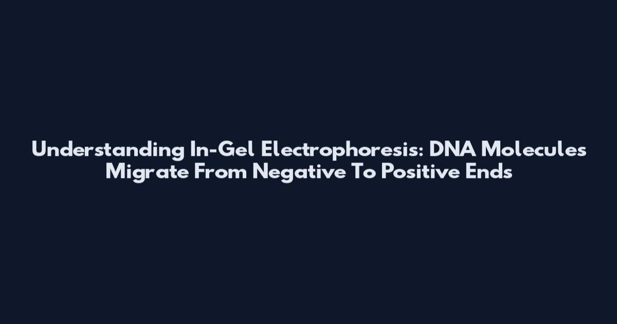 Understanding In-Gel Electrophoresis: DNA Molecules Migrate From Negative To Positive Ends