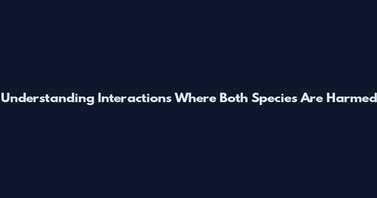 Understanding Interactions Where Both Species Are Harmed