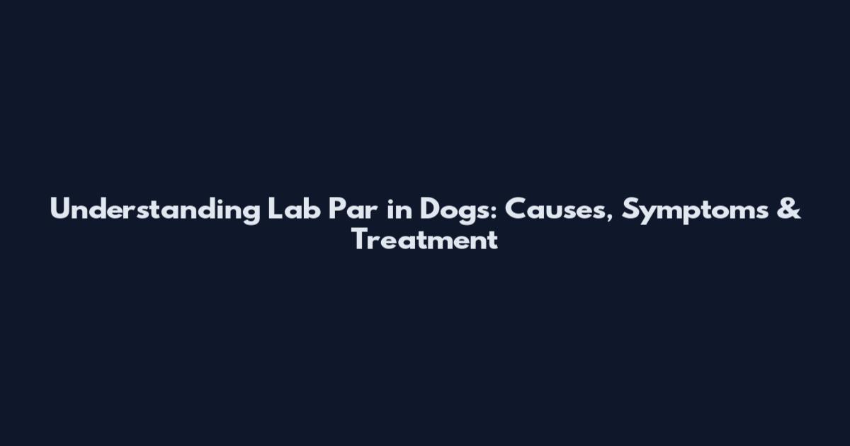 Understanding Lab Par in Dogs: Causes, Symptoms & Treatment