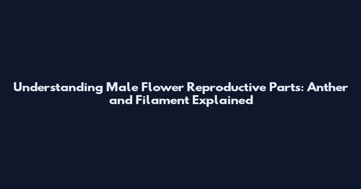 Understanding Male Flower Reproductive Parts: Anther and Filament Explained