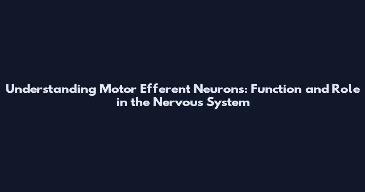 Understanding Motor Efferent Neurons: Function and Role in the Nervous System