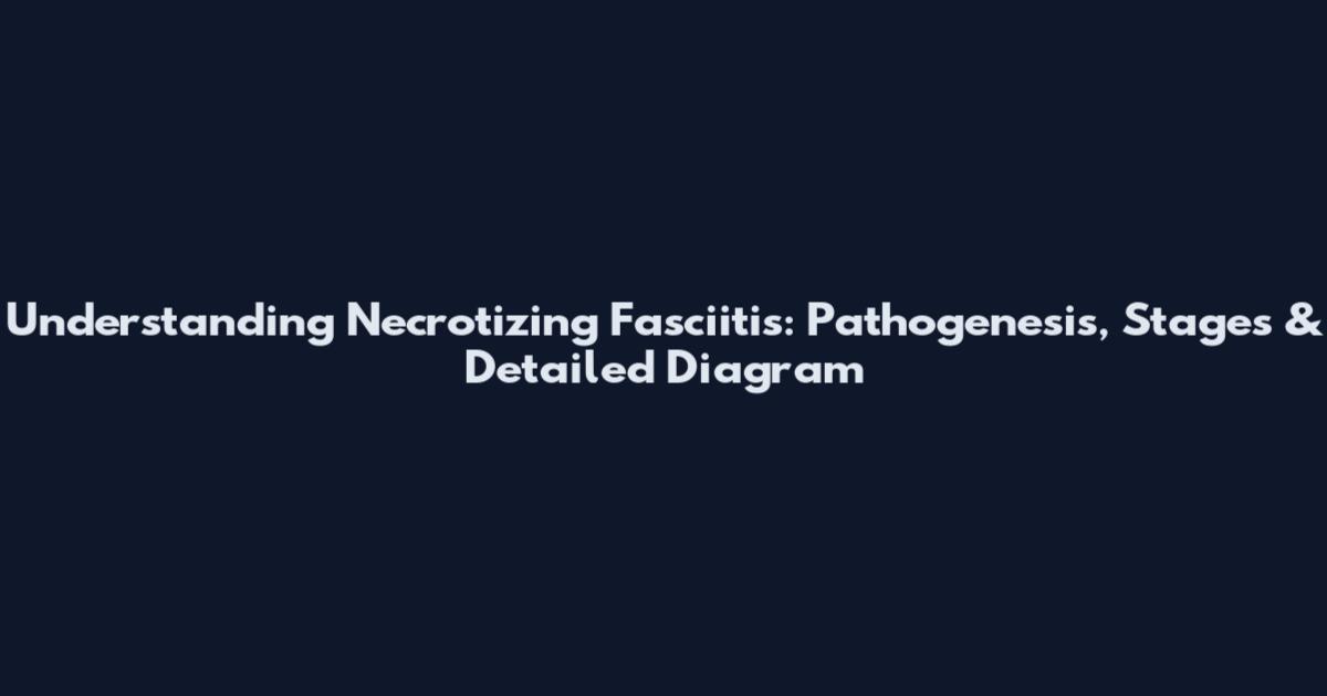 Understanding Necrotizing Fasciitis: Pathogenesis, Stages & Detailed Diagram