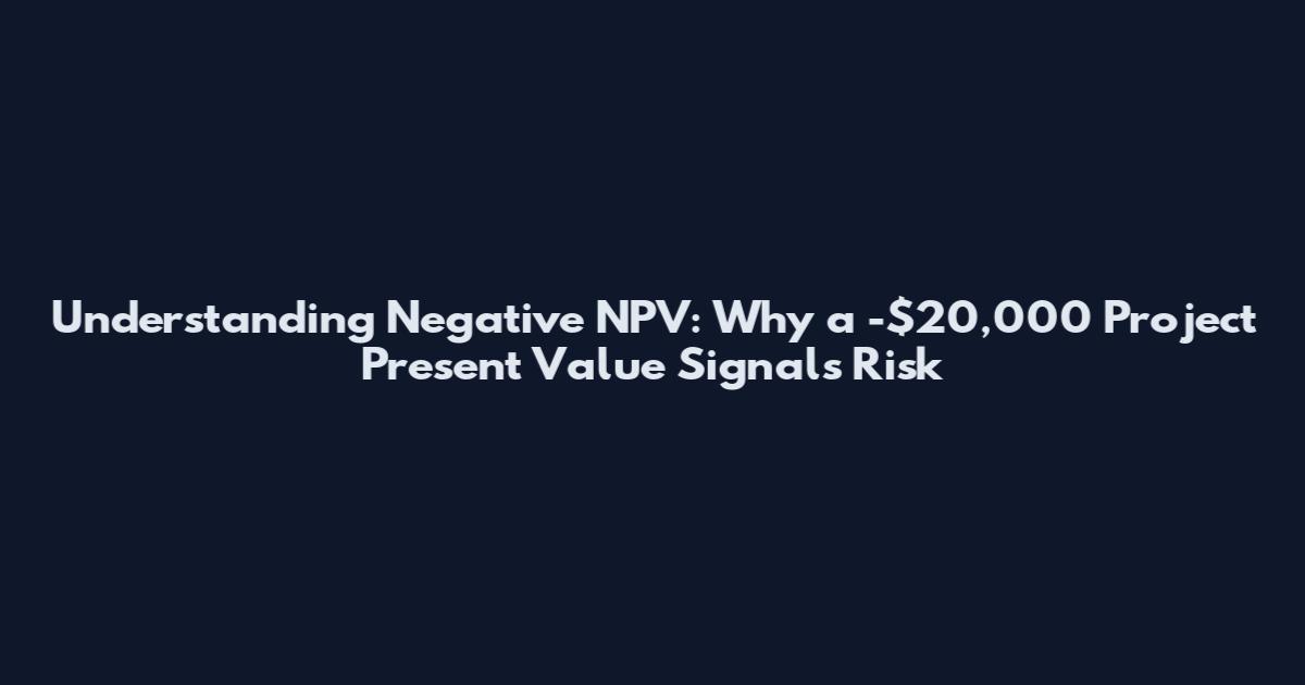 Understanding Negative NPV: Why a -$20,000 Project Present Value Signals Risk