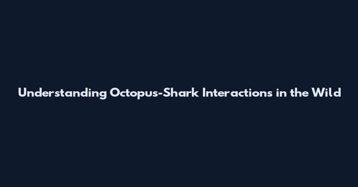 Understanding Octopus-Shark Interactions in the Wild