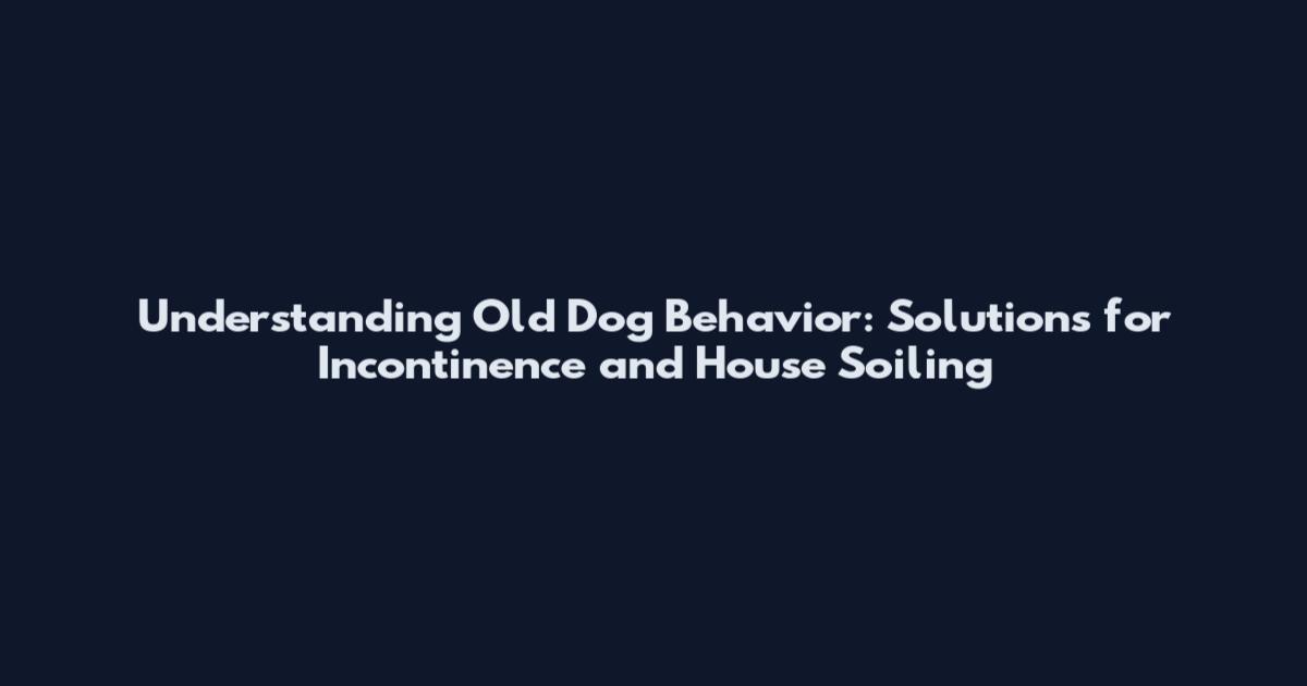 Understanding Old Dog Behavior: Solutions for Incontinence and House Soiling