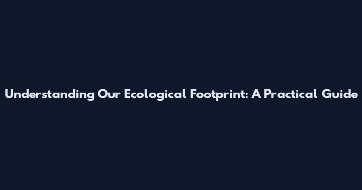 Understanding Our Ecological Footprint: A Practical Guide