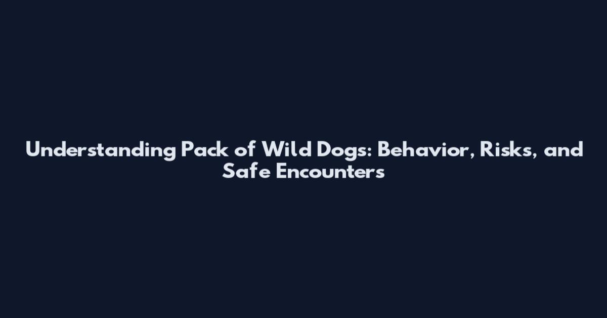 Understanding Pack of Wild Dogs: Behavior, Risks, and Safe Encounters