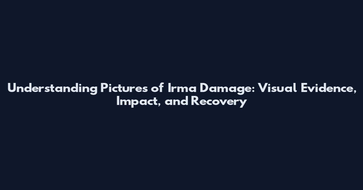 Understanding Pictures of Irma Damage: Visual Evidence, Impact, and Recovery