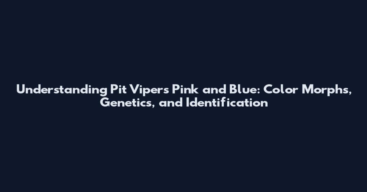 Understanding Pit Vipers Pink and Blue: Color Morphs, Genetics, and Identification