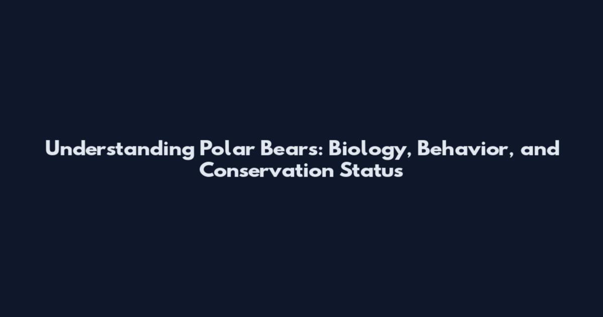 Understanding Polar Bears: Biology, Behavior, and Conservation Status