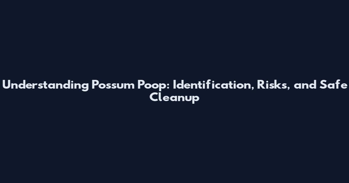Understanding Possum Poop: Identification, Risks, and Safe Cleanup