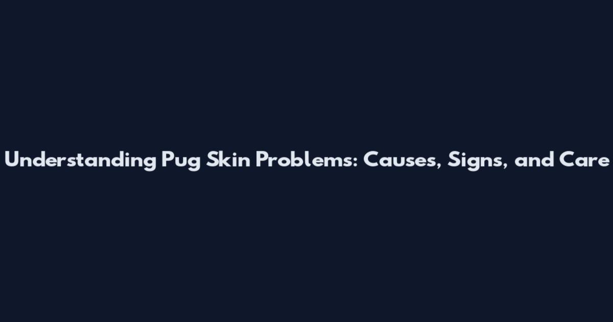 Understanding Pug Skin Problems: Causes, Signs, and Care